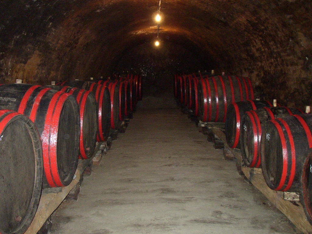 Podrumi Kolar "Suza Baranje" Kneževi Vinogradi Екстериор снимка