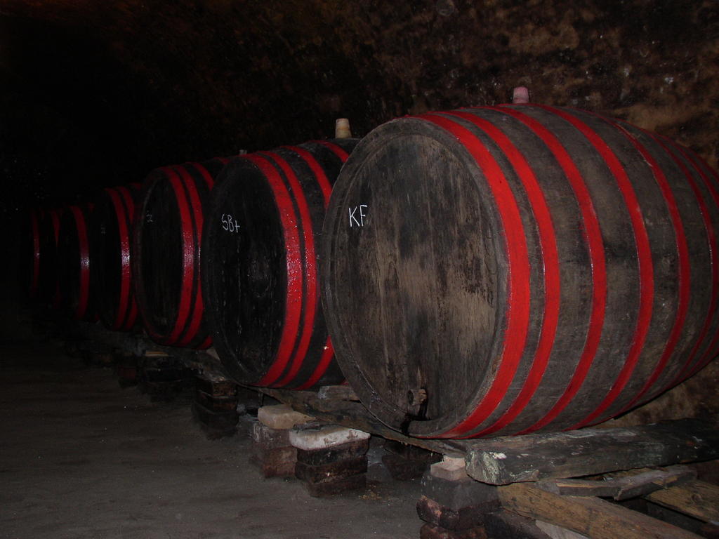Podrumi Kolar "Suza Baranje" Kneževi Vinogradi Екстериор снимка